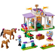 LEGO Friends Výcvik koní 41746