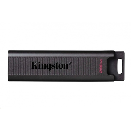 Kingston 256 GB USB3.2 Gen 2 DataTraveler Max