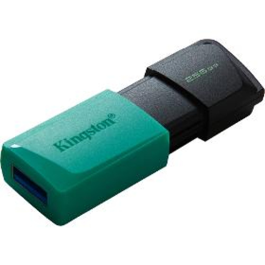 Flash disk DTXM/256GB USB3.2 Gen 1 USB FD KINGSTON