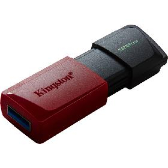 Flash disk DTXM/128GB USB3.2 Gen 1 USB FD KINGSTON