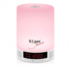 VIGAN BR1 Color bluetooth reproduktor 2v1 VIGAN BR1 Color bluetooth reproduktor 2v1
