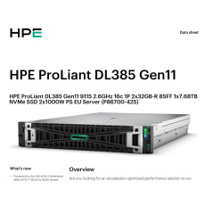 HPE PL DL385g11 AMD EPYC 9115 (2.6/16C) 2x32G (P64985) 1x7.68TB NVMe 2x1000W 8SFF 2p10GT Smart Choice HPE PL DL385g11 AMD EPYC 9115 (2.6/16C) 2x32G (P64985) 1x7.68TB NVMe 2x1000W 8SFF 2p10GT Smart Choice